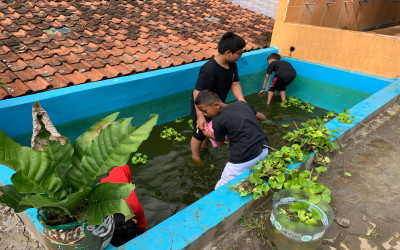 Kawal Program Konservasi Air, MTsN 5 Kulon Progo bersihkan Kolam Ikan yang Bersumber dari Sisa Air Wudhu