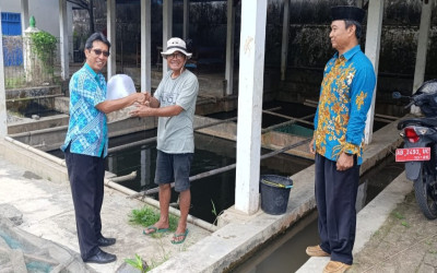 MTsN 5 Kulon Progo Terima 100 Bibit Ikan Gurameh untuk Program Adiwiyata